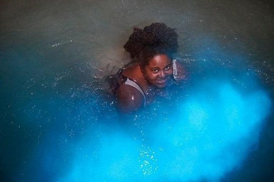 Magical Luminous Lagoon — photograph 5