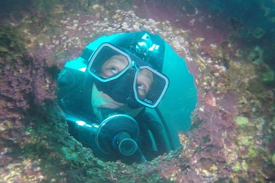 Diving excursion in Quintay — billede 5
