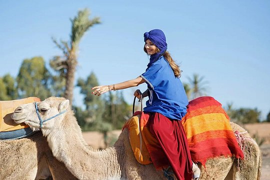 Camel Riding in Agadir — صورة 2