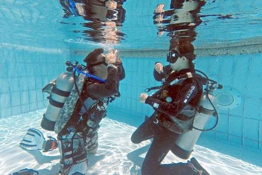 Scuba Diving Refresher(3 dives) — 사진 2