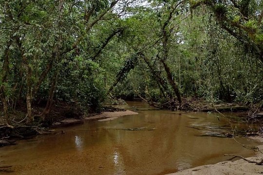 Explore Guarani Village and Beaches — photograph 3