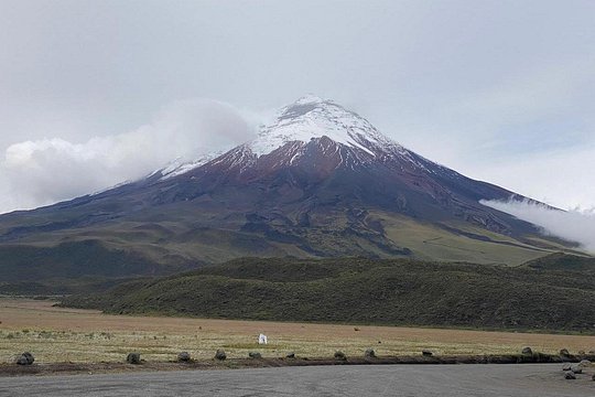 Cotopaxi and volcanoes avenue — photograph 4