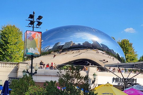 Chicago City Minibus Tour — billede 5