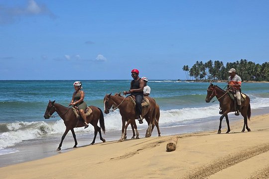 Miches Beach Horseback Riding — photograph 2