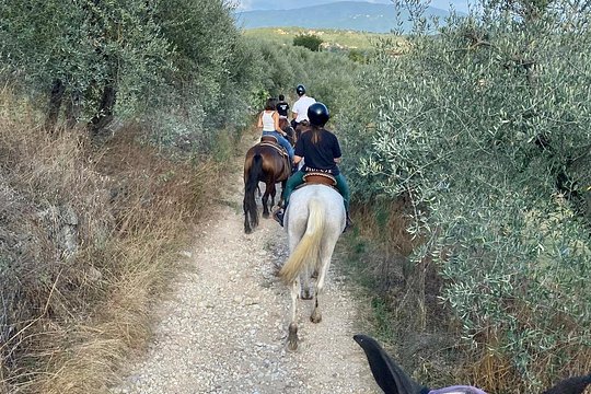 Horseback Riding and Wine Tasting — Foto 2