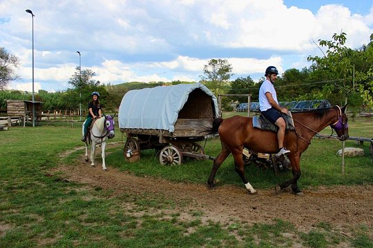 Horseback Riding and Wine Tasting — Foto 4