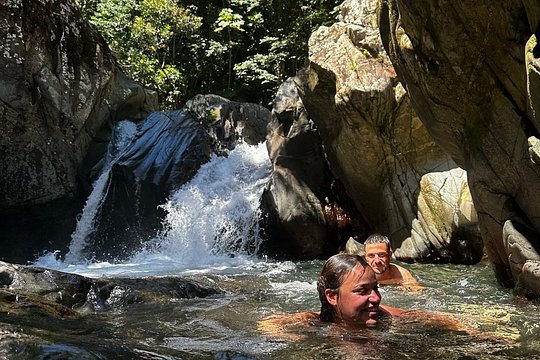Private Rainforest Tour with Transportation — photograph 2