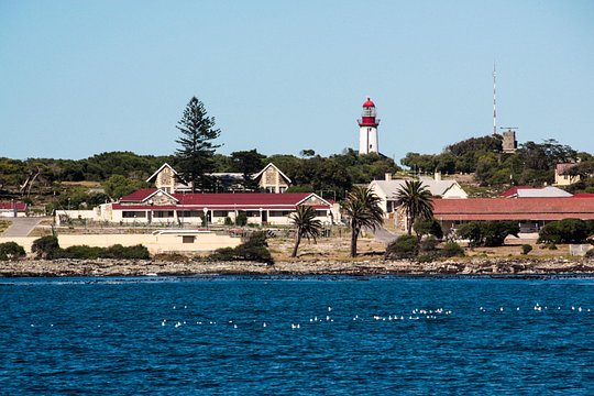 Table mountain and Robben Island private tour — photograph 3