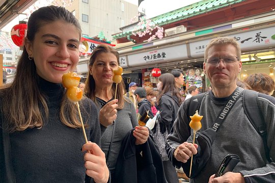 Tokyo Tour & Geisha Performance & Dinner with Licensed Guide — photograph 5