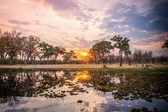 Overnight Mokoro Experience in the Okavango Delta — photograph 4