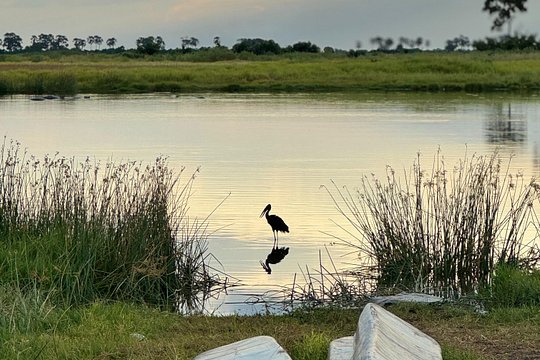 Overnight Mokoro Experience in the Okavango Delta — photograph 3