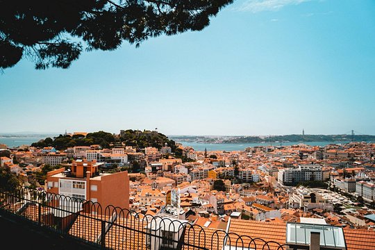 Essential Lisbon Highlights Walking Tour — photograph 5