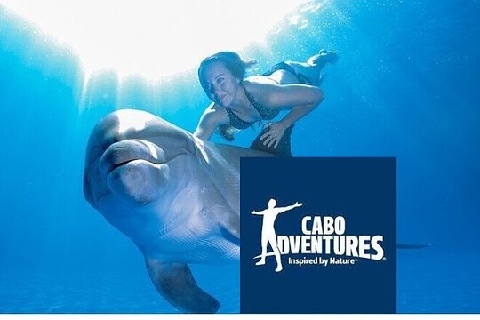 Natural Space Dolphin Encounter in Cabo with Optional Pickup — 사진 3