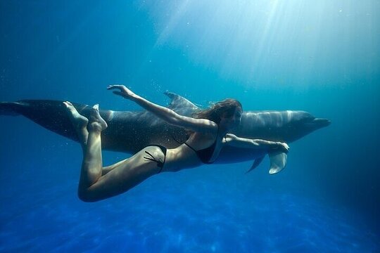 Natural Space Dolphin Encounter in Cabo with Optional Pickup — 사진 5