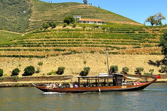Douro Valley Small-group tour: 2 Wineries, Lunch & Cruise — photograph 2
