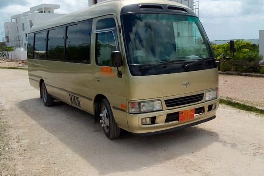 Private Transfer in Zanzibar — photograph 3