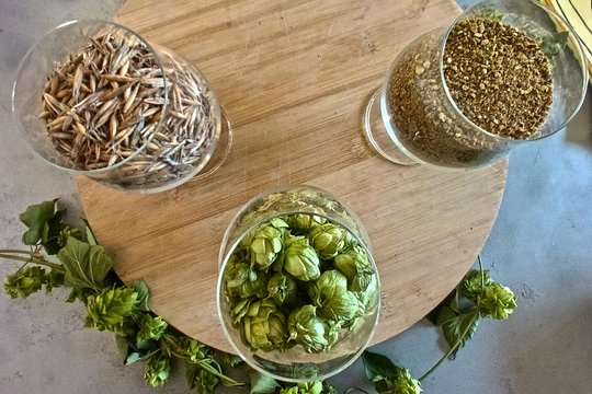 Tropea Craft Beer Experience — photo 5