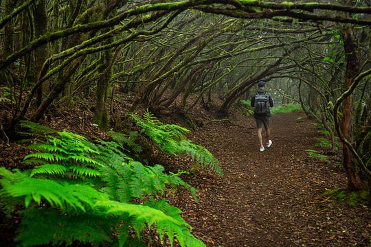 Tenerife Wonder Walk — billede 3