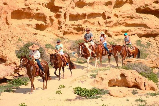 Los Cabos ATV & Horseback Ride with Tequila Tasting — photograph 2