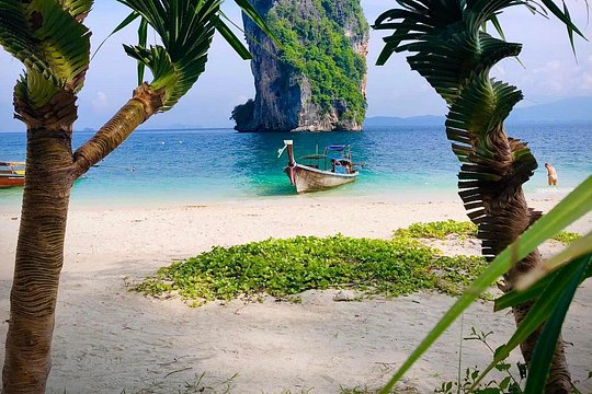 4 Islands Sunset + Plankton, Small Group 12 Guests, Speedboat — billede 2