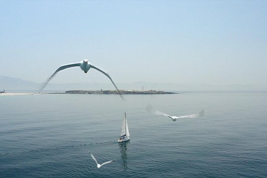 Tarifa Sailing and Snorkeling Excursion with tapas and drinks — billede 5