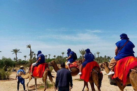 Marrakech Full Day Private Sightseeing — 사진 5