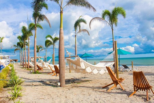 Private Experience in a Panama Pacific Beach — Foto 4