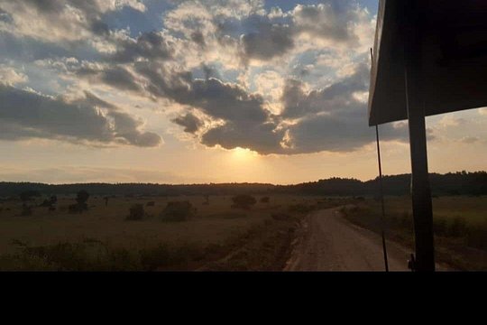 Amboseli Day Trip with Pickup — billede 5