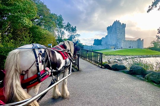 Killarney Jaunting Car Tour — photograph 3