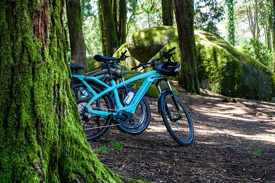 Lisbon: Sintra, Cascais, Cabo da Roca by E-Bike + Transfer — billede 2