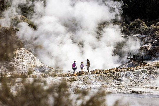 Ex Auckland - HELL's GATE with Mud Spa, Plunge Pool & Blue Spring — photograph 2
