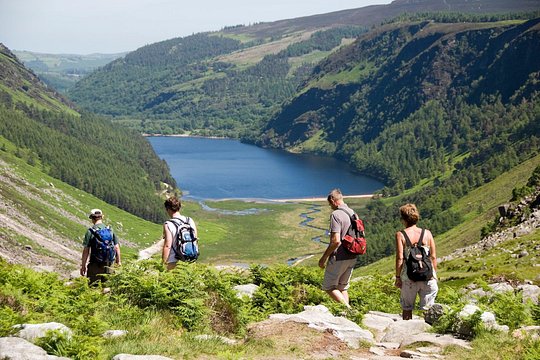 Day Tour to County Wicklow — billede 3
