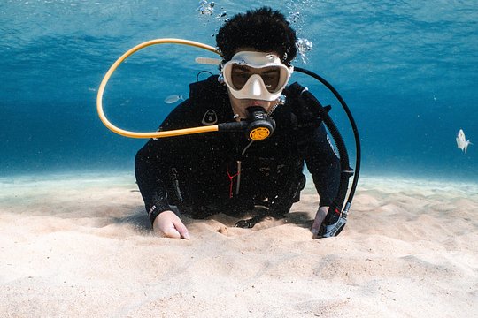 Lanzarote: Try Scuba Diving – No Experience Needed — صورة 4