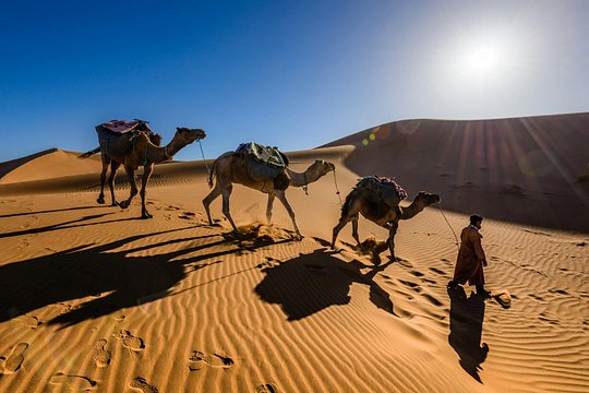 Doha Desert Excursion Dune Bashing Sandboarding Camel Ride — foto 5