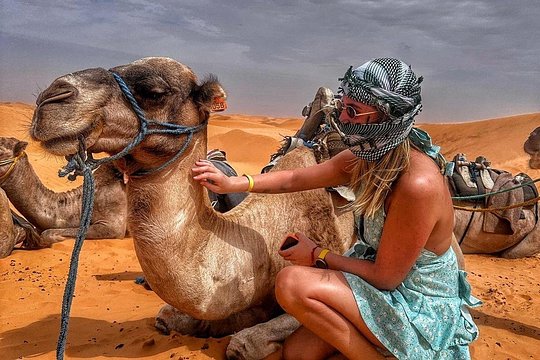 From Djerba: Explore the desert in a day — photograph 2