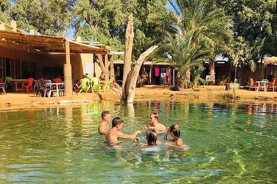 From Djerba: Explore the desert in a day — photograph 3