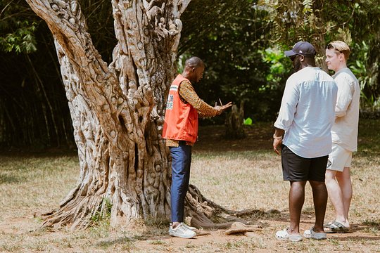 Explore Aburi Botanical Gardens And Boti Falls — billede 4