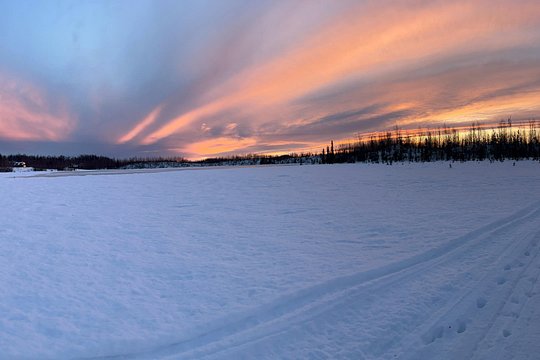 Dog Sledding with Alaskan Huskies — photograph 4