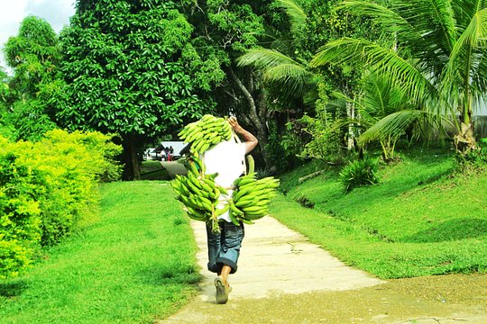Private Amazonas Tour in Colombia — photograph 4