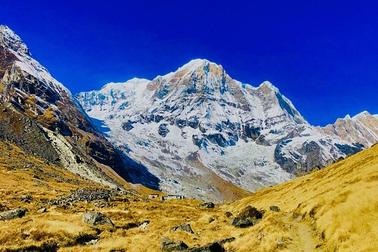 11-Day Annapurna Base Camp Trek — photograph 3