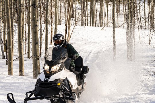 Tahoe Lakeview Snowmobiling Tours — photograph 2