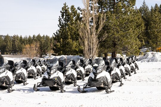 Tahoe Lakeview Snowmobiling Tours — photograph 3