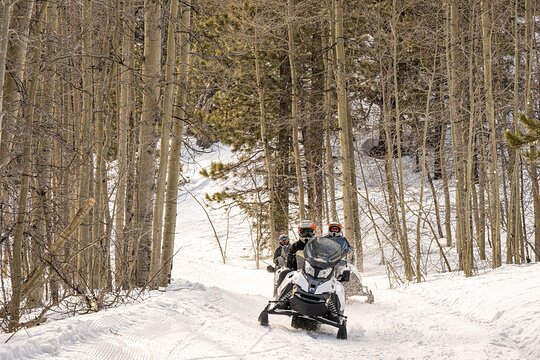 Tahoe Lakeview Snowmobiling Tours — photograph 5