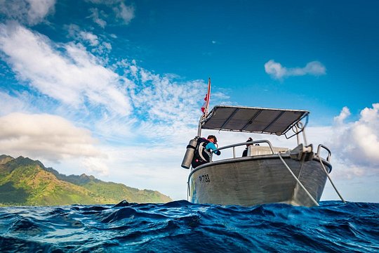 Baptism: introductory dive at Moorea Fun Dive — foto 4