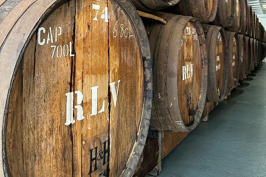 Madeira : Wine Tasting & Authentic Local Experience — photograph 2