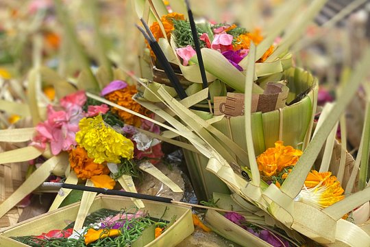 Ubud 1 Day Private Tour — photograph 2