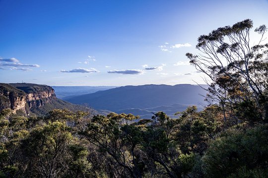 Blue Mountains and Australian Native Animals — photograph 5