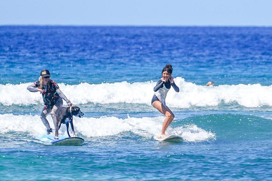 Semi Private Surf Lessons with Experienced Coaches — photograph 2