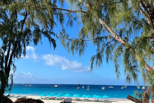 Wildlife Encounter & Beach Day — billede 4