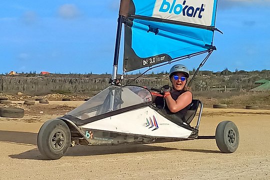 Bonaire Landsailing Adventures — photograph 2